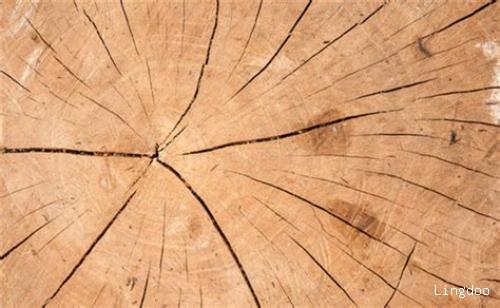 木材开裂的表现（木材开裂原因及解决方法）