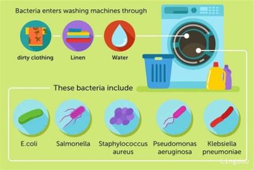 洗衣机为什么要经常清洗(怎么正确清洗洗衣机)