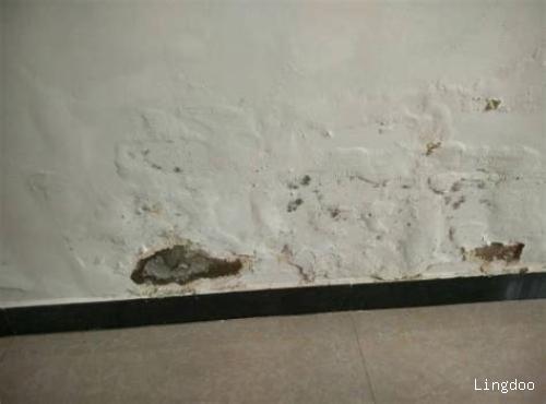 墙壁返碱和渗水的区别（怎么判断墙壁返碱和渗水）