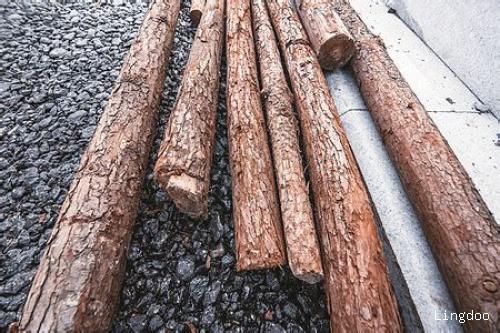 木头一般能存放多久(木头在水中可以保存多久？)